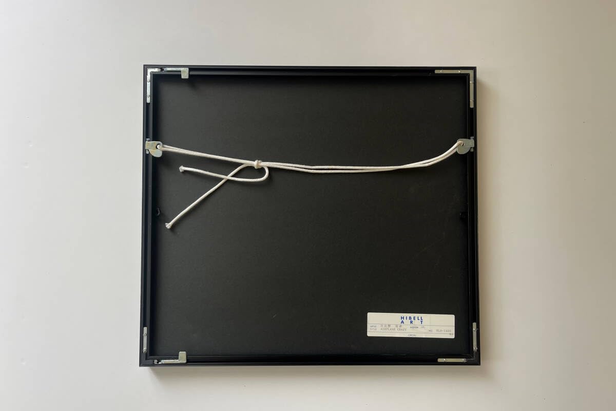 日比野克彦 リトグラフ Amazon.co.jp: 『日比野克彦』“AIRPLANE CRAZY” リトグラフ 直筆